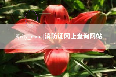 锦州消防证网上查询网站