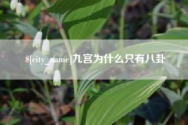 锦州九宫为什么只有八卦