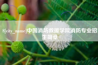 锦州中国消防救援学院消防专业招生简章