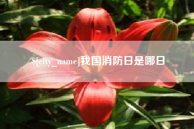 锦州我国消防日是哪日