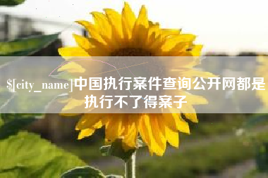 锦州中国执行案件查询公开网都是执行不了得案子