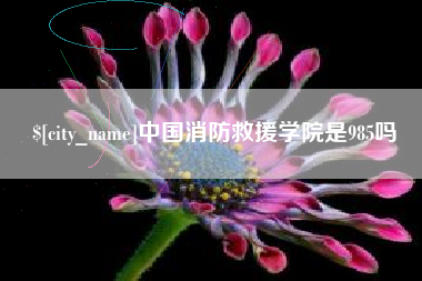 锦州中国消防救援学院是985吗