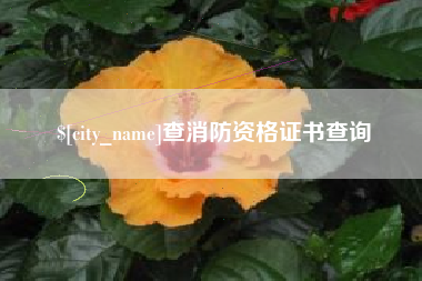 锦州查消防资格证书查询