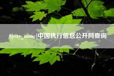 锦州中国执行信息公开网查询