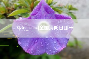 锦州全国消防日哪一