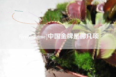 锦州中国金牌是哪几项