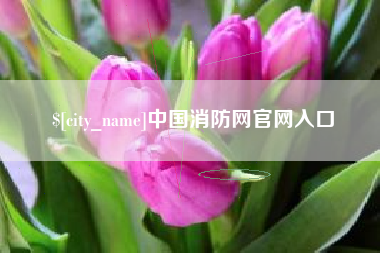 锦州中国消防网官网入口