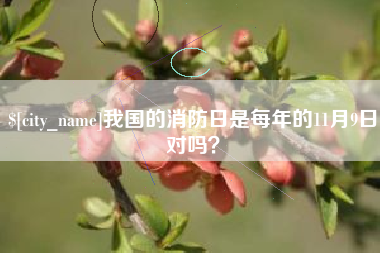 锦州我国的消防日是每年的11月9日对吗？