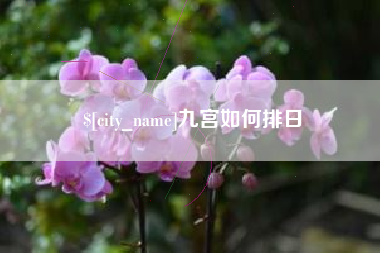 锦州九宫如何排日