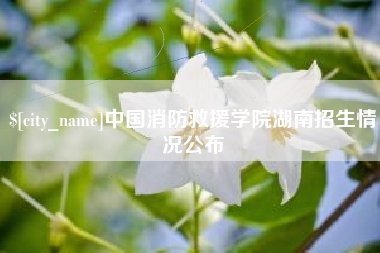 锦州中国消防救援学院湖南招生情况公布