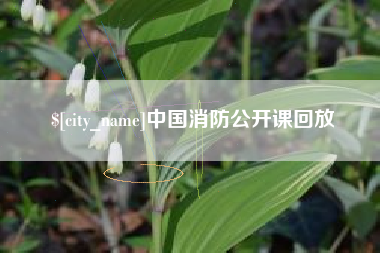 锦州中国消防公开课回放