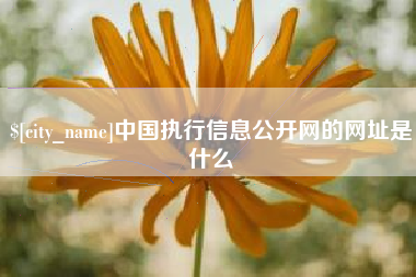 锦州中国执行信息公开网的网址是什么