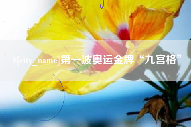 锦州第一波奥运金牌“九宫格”