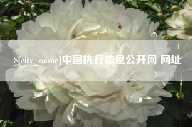 锦州中国执行信息公开网 网址