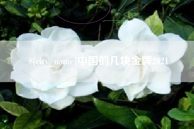 锦州中国的几块金牌2021