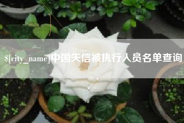 锦州中国失信被执行人员名单查询