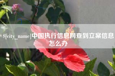 锦州中国执行信息网查到立案信息怎么办