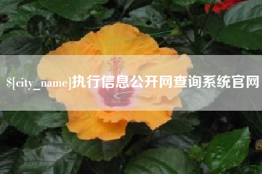 锦州执行信息公开网查询系统官网