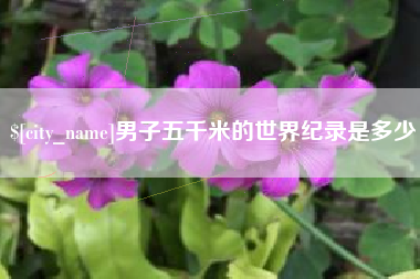 锦州男子五千米的世界纪录是多少