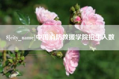 锦州中国消防救援学院招生人数
