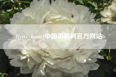 锦州中国消防网官方网站