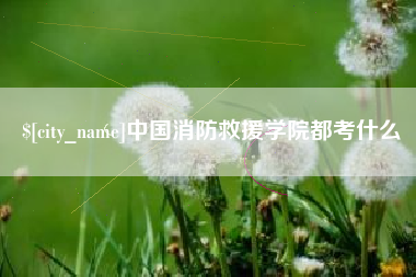 锦州中国消防救援学院都考什么