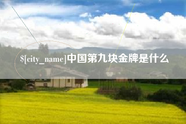 锦州中国第九块金牌是什么