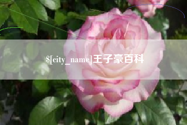 锦州王子豪百科