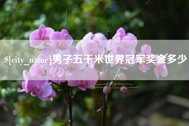 锦州男子五千米世界冠军奖金多少