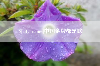 锦州中国金牌都是啥