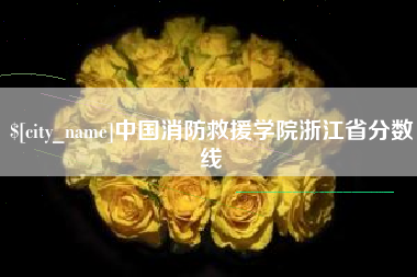 锦州中国消防救援学院浙江省分数线