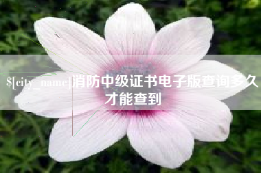 锦州消防中级证书电子版查询多久才能查到
