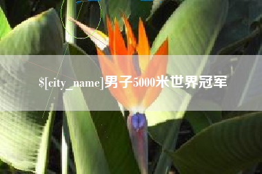 锦州男子5000米世界冠军