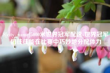 锦州5000米世界冠军配速-世界冠军们往往能在比赛中巧妙地分配体力