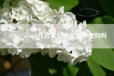 锦州九宫星位是定位不变的吗