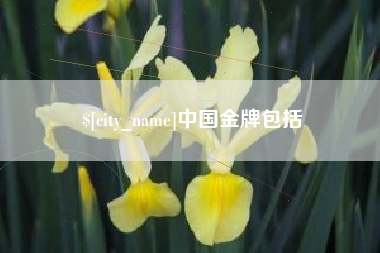 锦州中国金牌包括