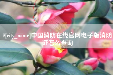 锦州中国消防在线官网电子版消防证怎么查询