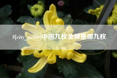 锦州中国九枚金牌是哪九枚
