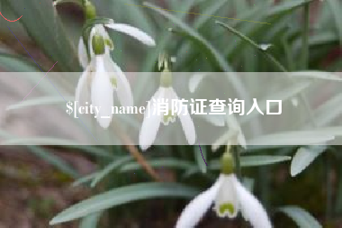 锦州消防证查询入口