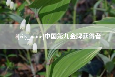 锦州中国第九金牌获得者