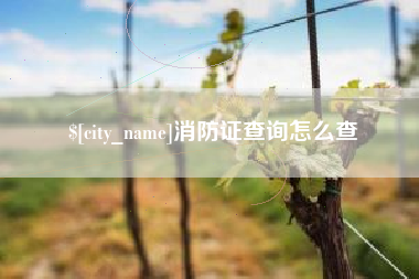 锦州消防证查询怎么查