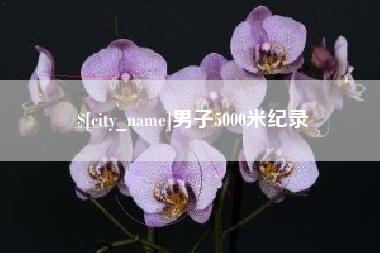锦州男子5000米纪录