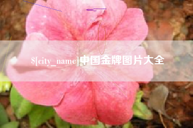 锦州中国金牌图片大全