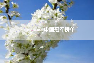 锦州中国冠军榜单