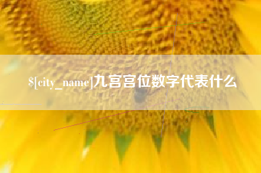 锦州九宫宫位数字代表什么