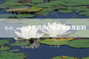 锦州全国消防日是从哪年发起的