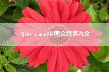 锦州中国金牌第九金