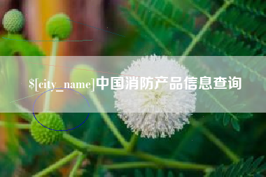 锦州中国消防产品信息查询
