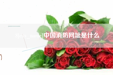 锦州中国消防网址是什么