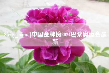 锦州中国金牌榜2024巴黎奥运会最新